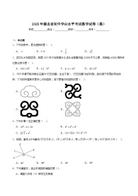 湖北省2025届初中学业水平考试数学试卷（黑）(含解析)