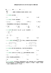 湖南省岳阳市岳阳县2024-2025学年九年级中考二模数学试卷（含答案解析）