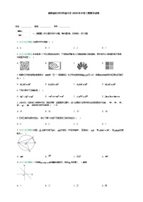 湖南省长沙市华益中学2025年中考三模数学试卷（含答案解析）