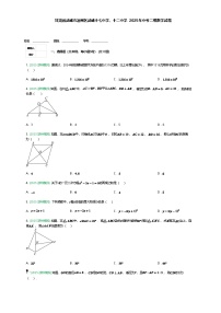 甘肃省武威市凉州区武威十七中学、十二中学2025年中考二模数学试题（含答案解析）