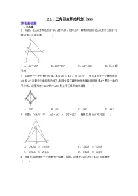 八年级上册（2024）14.2 三角形全等的判定精练
