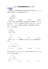初中数学人教版（2024）八年级上册（2024）14.2 三角形全等的判定测试题