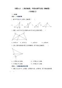 【25年秋季】新人教版八年级数学上册专项讲练专题11.5 三角形高线、中线与角平分线（基础篇）（名师详细解析）