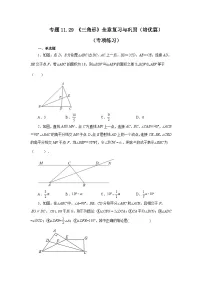 【25年秋季】新人教版八年级数学上册专项讲练专题11.29 《三角形》全章复习与巩固（培优篇）（名师详细解析）