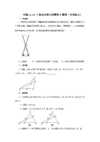 【25年秋季】新人教版八年级数学上册专项讲练专题12.18 三角形全等几何模型-X模型（名师详细解析）