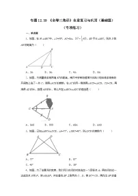 【25年秋季】新人教版八年级数学上册专项讲练专题12.39 《全等三角形》全章复习与巩固（基础篇）（名师详细解析）