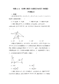 【25年秋季】新人教版八年级数学上册专项讲练专题12.41 《全等三角形》全章复习与巩固（培优篇）（名师详细解析）