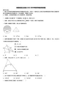 那曲地区比如县2025年中考数学模拟预测题含解析