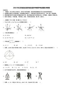 2025年江苏省连云港市灌云县中考数学考试模拟冲刺卷含解析