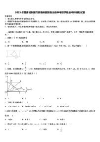 2025年甘肃省张掖市肃南裕固族自治县中考数学最后冲刺模拟试卷含解析