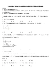 2025年甘肃省张掖市肃南裕固族自治县中考数学最后冲刺模拟试卷含解析