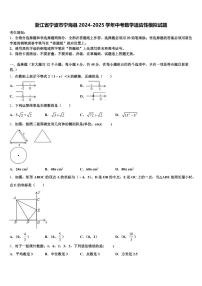 浙江省宁波市宁海县2024-2025学年中考数学适应性模拟试题含解析