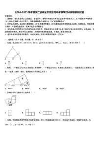 2024-2025学年黑龙江省绥化市安达市中考数学对点突破模拟试卷含解析