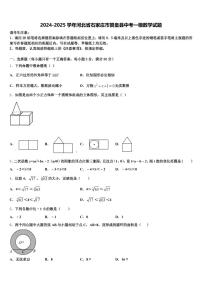 2024-2025学年河北省石家庄市赞皇县中考一模数学试题含解析