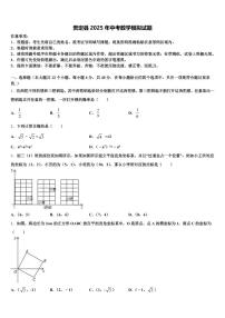贵定县2025年中考数学模拟试题含解析
