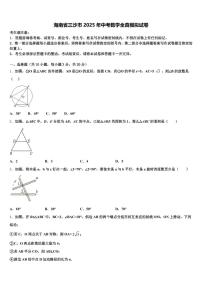 海南省三沙市2025年中考数学全真模拟试卷含解析