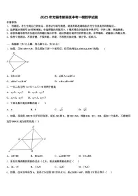 2025年无锡市新吴区中考一模数学试题含解析