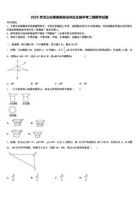2025年文山壮族苗族自治州丘北县中考二模数学试题含解析