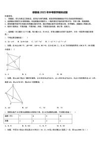 绿春县2025年中考数学模拟试题含解析