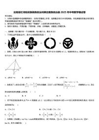云南省红河哈尼族彝族自治州屏边苗族自治县2025年中考数学模试卷含解析