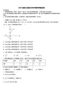 2025届浙江省嘉兴市中考数学押题试卷含解析