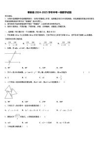 奉新县2024-2025学年中考一模数学试题含解析