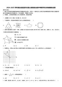 2024-2025学年湖北省宜昌市长阳土家族自治县中考数学对点突破模拟试卷含解析