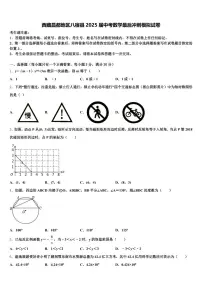 西藏昌都地区八宿县2025届中考数学最后冲刺模拟试卷含解析