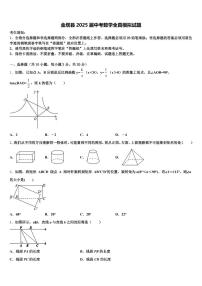 金塔县2025届中考数学全真模拟试题含解析
