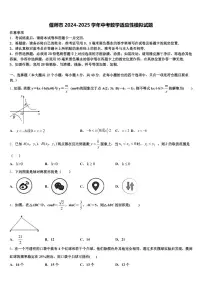 偃师市2024-2025学年中考数学适应性模拟试题含解析