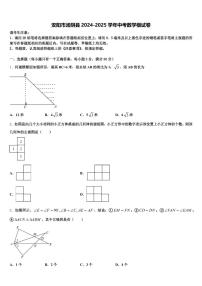 安阳市汤阴县2024-2025学年中考数学模试卷含解析