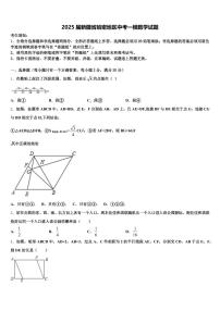 2025届新疆省哈密地区中考一模数学试题含解析