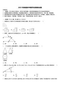 2025年商城县中考数学全真模拟试题含解析