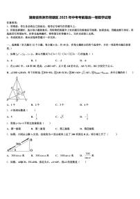 湖南省株洲市荷塘区2025年中考考前最后一卷数学试卷含解析
