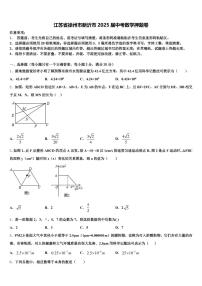 江苏省徐州市新沂市2025届中考数学押题卷含解析