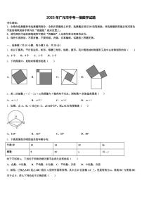 2025年广元市中考一模数学试题含解析