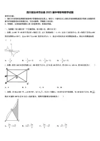 四川省达州市达县2025届中考联考数学试题含解析