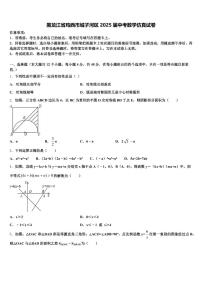 黑龙江省鸡西市城子河区2025届中考数学仿真试卷含解析