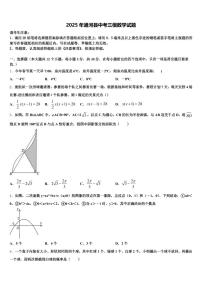 2025年通河县中考三模数学试题含解析
