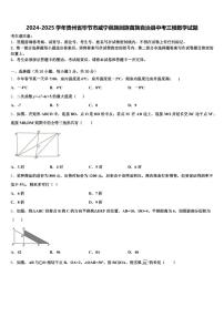 2024-2025学年贵州省毕节市威宁彝族回族苗族自治县中考三模数学试题含解析