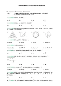 广东省汕头市潮南区2025年九年级下初中学业水平模拟考试数学试卷（含答案解析）
