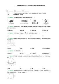 广东省惠州市惠城区第一次2025年九年级下初中学业水平模拟考试数学试题（含答案解析）