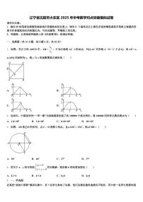 辽宁省沈阳市大东区2025年中考数学对点突破模拟试卷含解析
