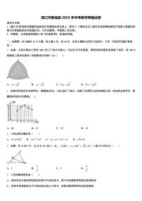 周口市郸城县2025年中考数学押题试卷含解析