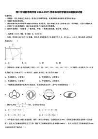 四川省成都市青羊区2024-2025学年中考数学最后冲刺模拟试卷含解析