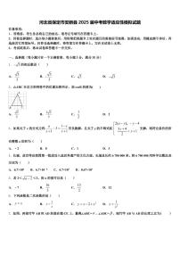 河北省保定市安新县2025届中考数学适应性模拟试题含解析