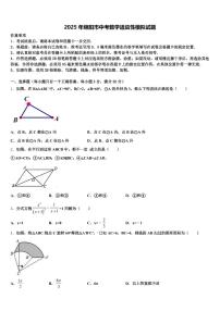 2025年绵阳市中考数学适应性模拟试题含解析