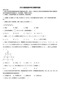 2025届武邑县中考三模数学试题含解析