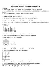 眉山市彭山县2024-2025学年中考数学模拟精编试卷含解析