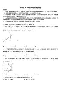 新河县2025届中考猜题数学试卷含解析